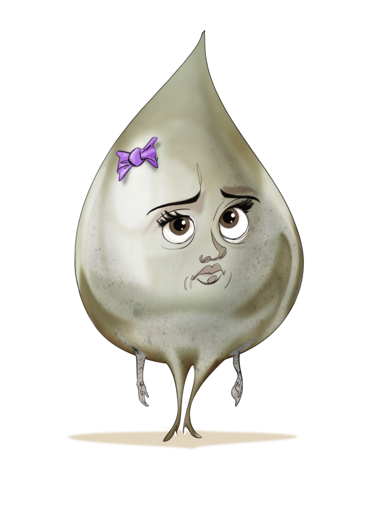 Wawa - the last drop of water, looking sad